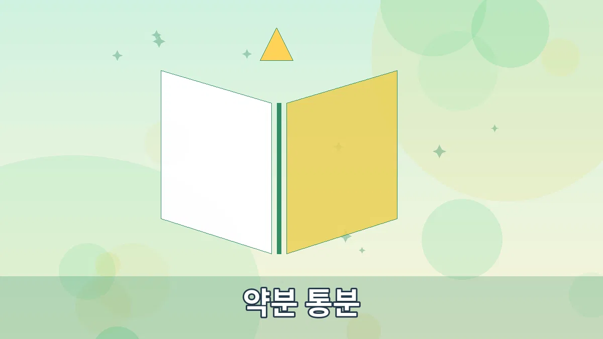 약분 통분 안내 이미지 3